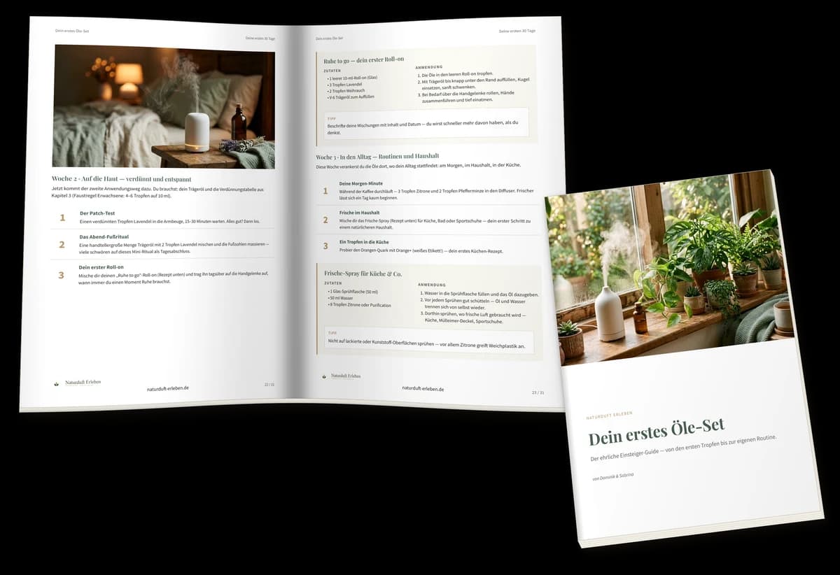 Wo fängt man eigentlich an? — Vorschau des PDFs