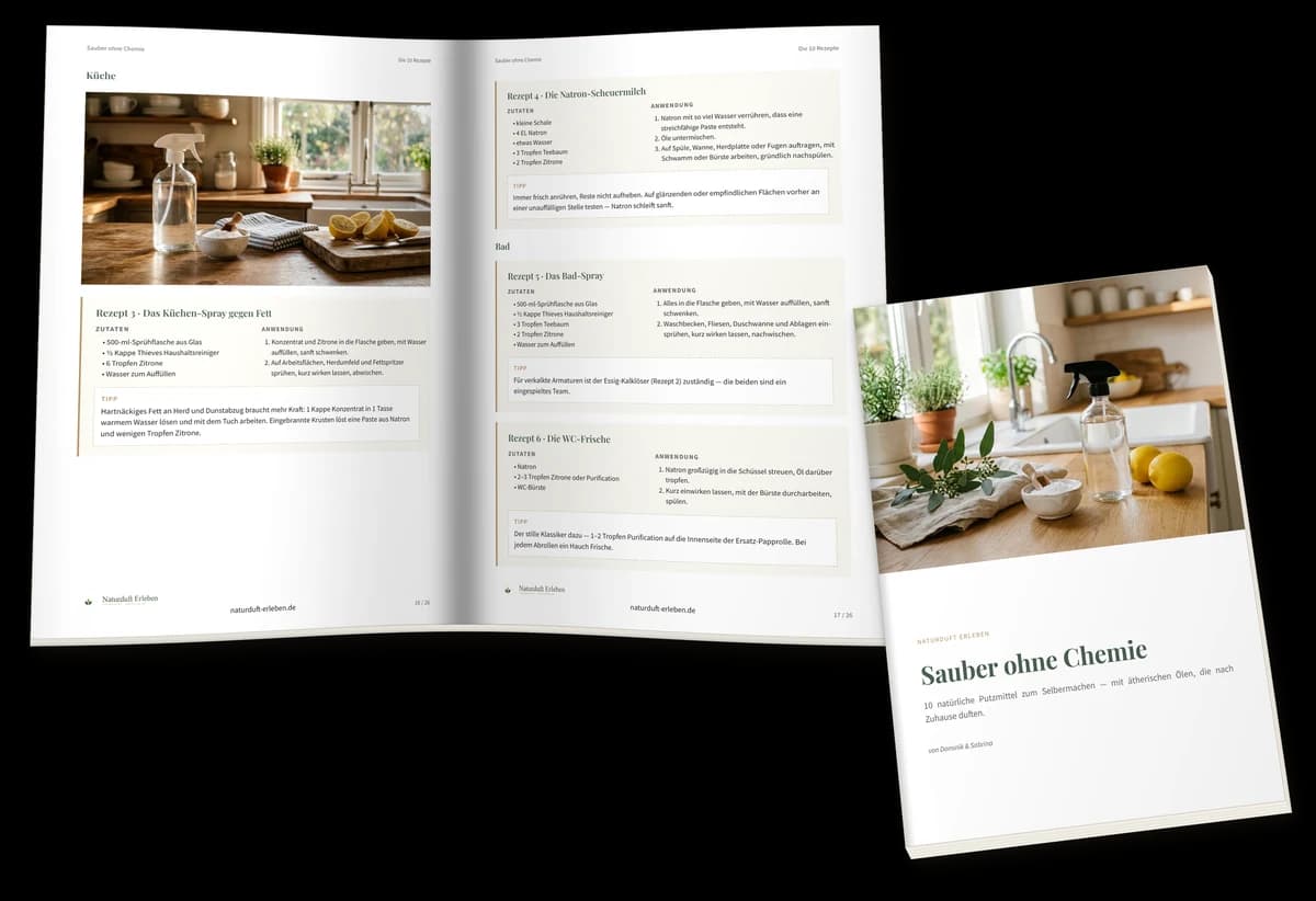 Sauber ohne Chemie — Vorschau des PDFs