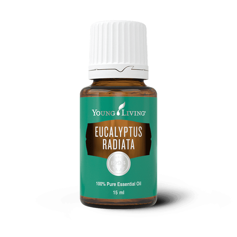 Young Living Eukalyptus