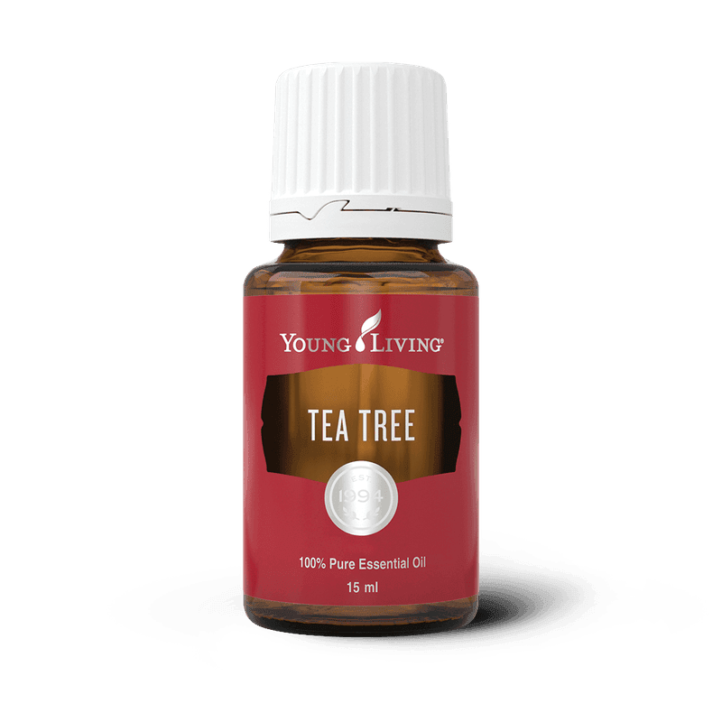 Young Living Teebaum