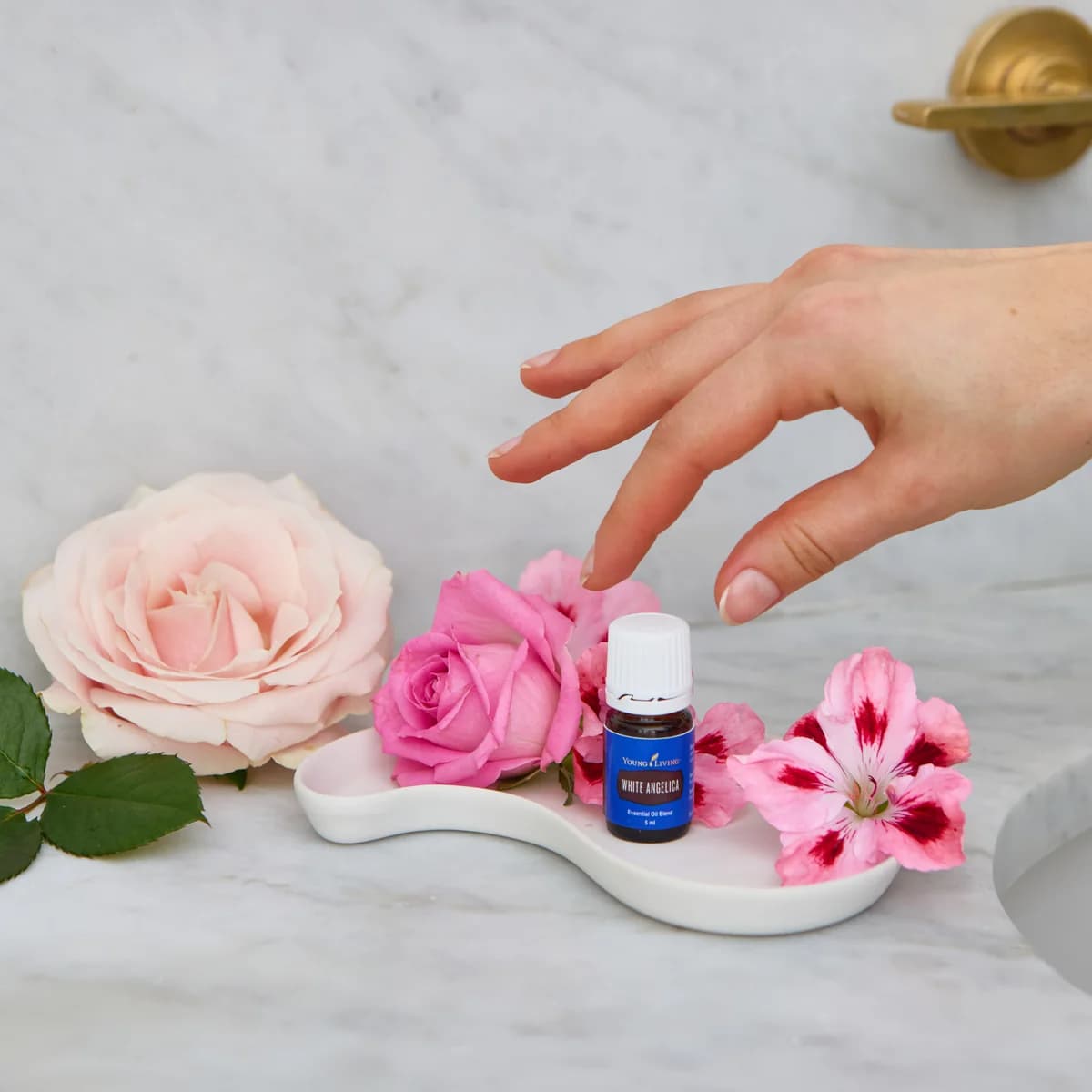 Eine Hand greift nach einem Fläschchen Young Living White Angelica 5 ml, das auf einer weißen Schale zwischen rosa Rosen und Blüten am Marmorwaschtisch steht.