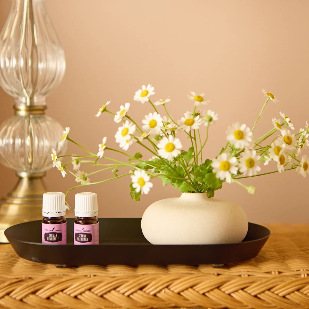 Zwei Fläschchen Young Living Echte Kamille Öl 5 ml stehen auf einem schwarzen Tablett neben einer Vase mit Kamillenblüten und einer Glaslampe.