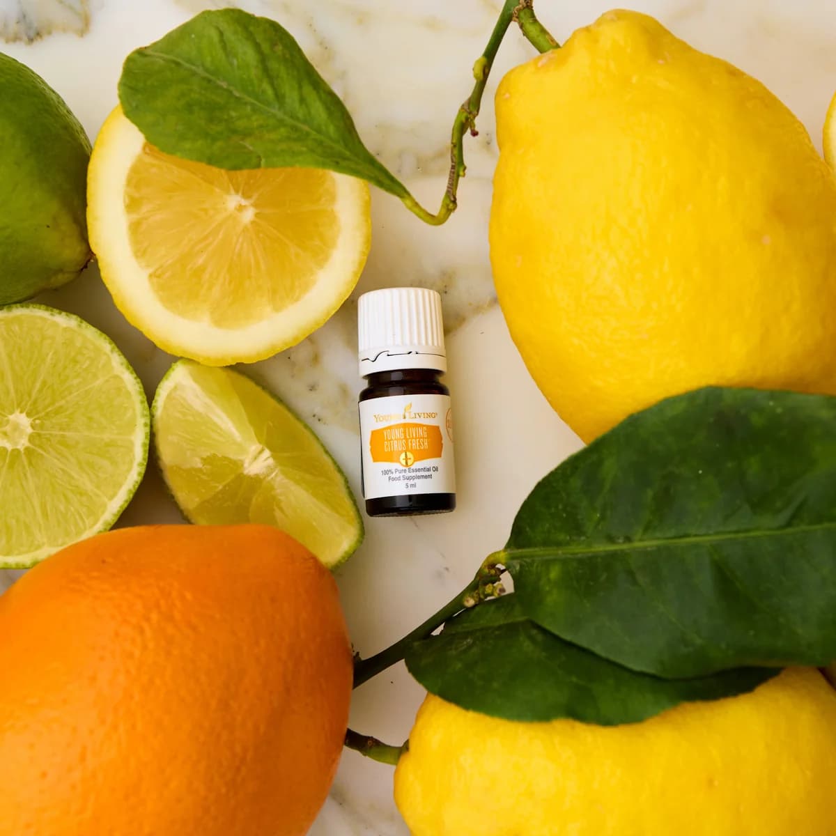 Ein Fläschchen Young Living Citrus Fresh+ 5 ml liegt auf Marmor zwischen Zitronen, Limetten und grünen Zitrusblättern.
