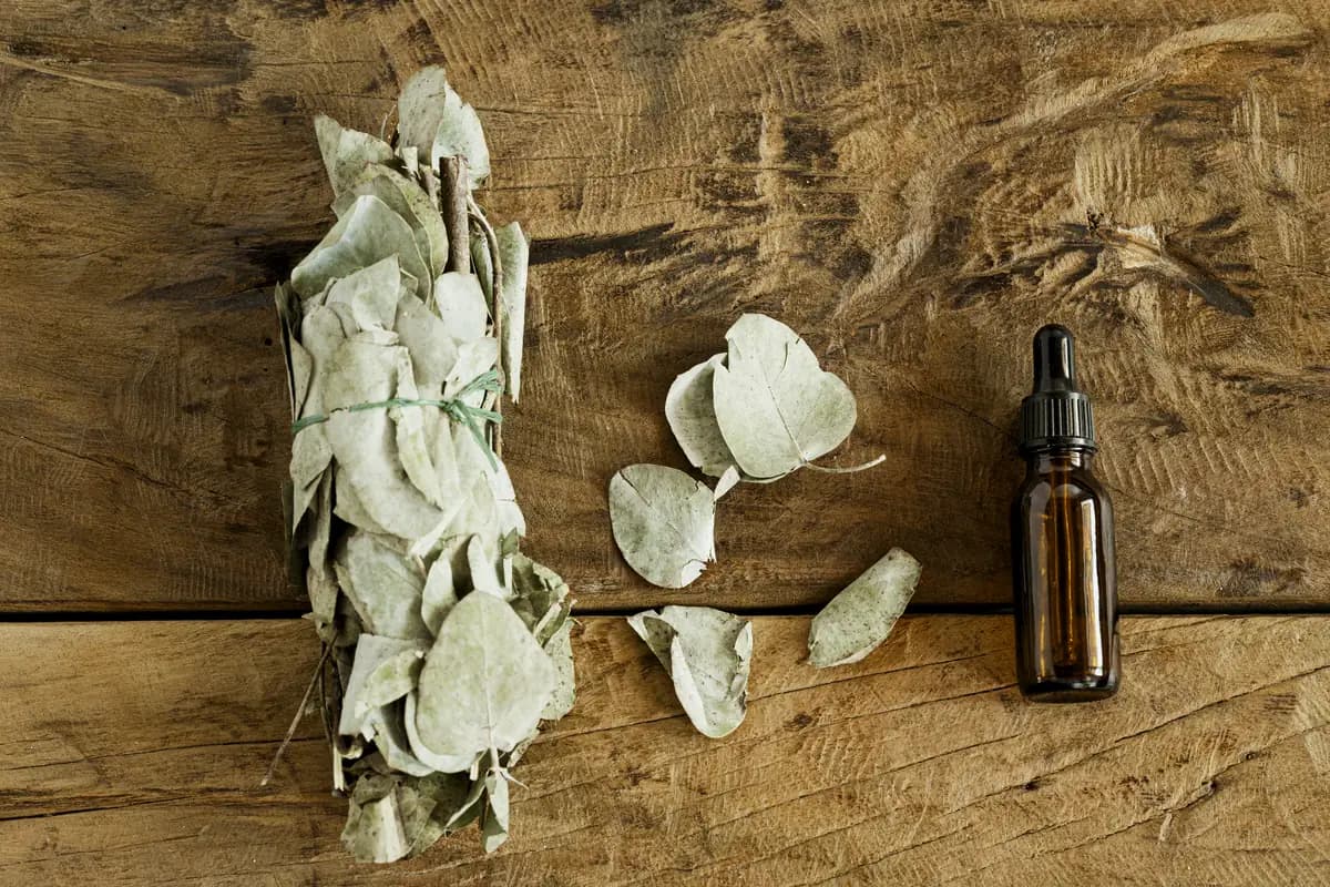 Ein Eukalyptus-Bündel und lose Blätter neben einem unbeschrifteten Fläschchen auf Altholz