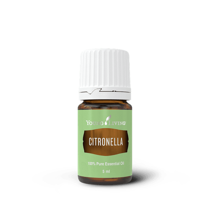 Citronella – ätherisches Öl von Young Living