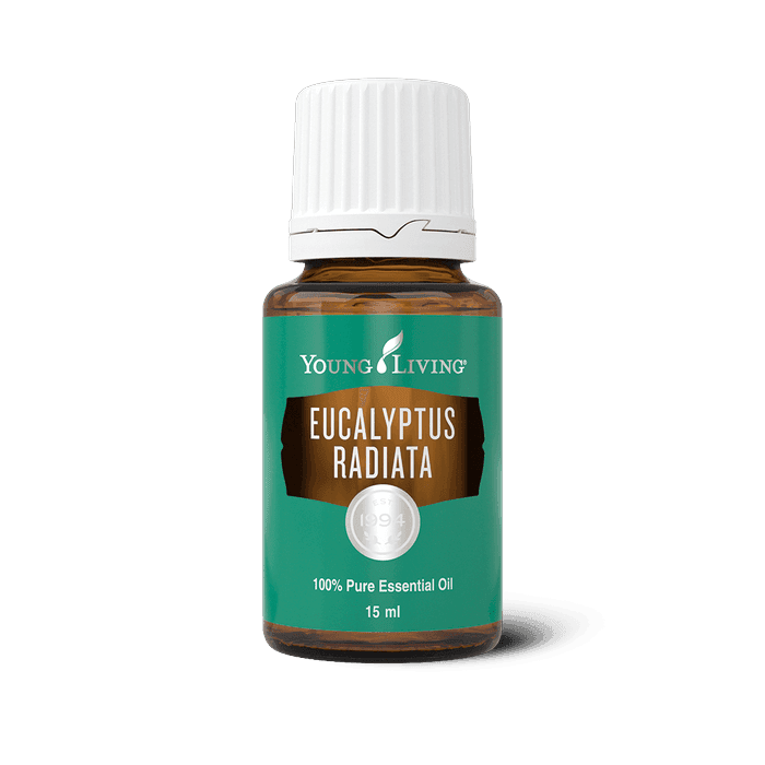 Eukalyptus – ätherisches Öl von Young Living