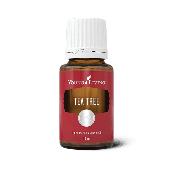 Teebaum – ätherisches Öl von Young Living