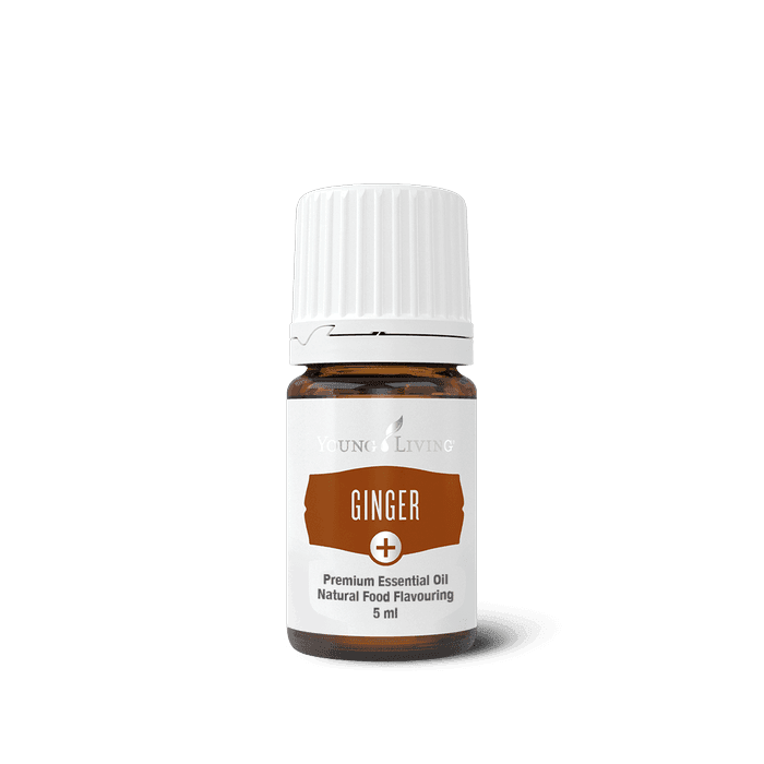 Ginger+ – Young Living Plus ätherisches Öl