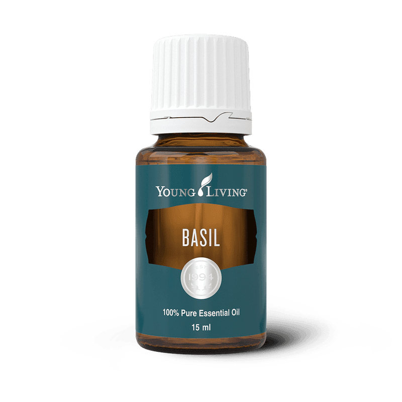 Basilikum – ätherisches Öl von Young Living
