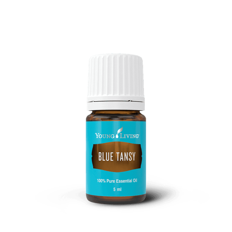 Blauer Rainfarn – ätherisches Öl von Young Living