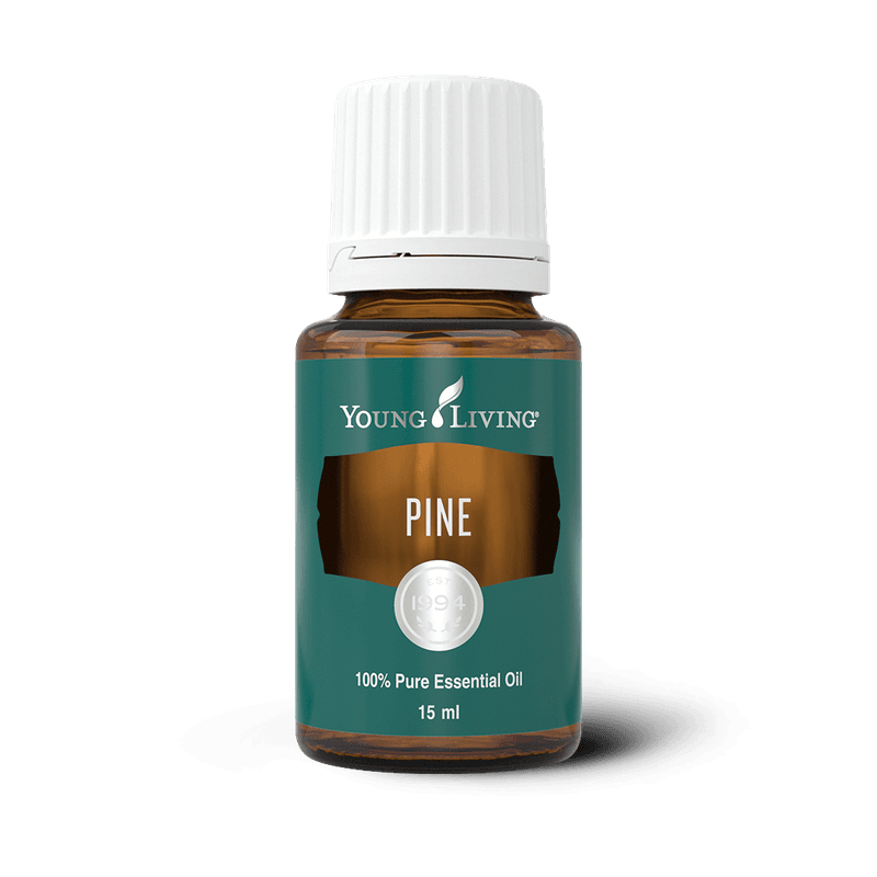 Kiefer – ätherisches Öl von Young Living