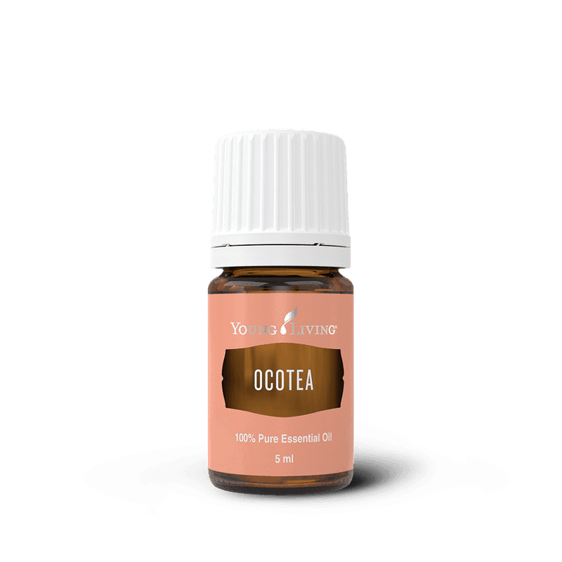 Ocotea – ätherisches Öl von Young Living