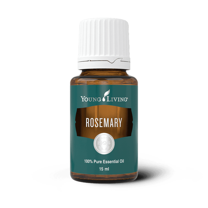 Rosmarin – ätherisches Öl von Young Living