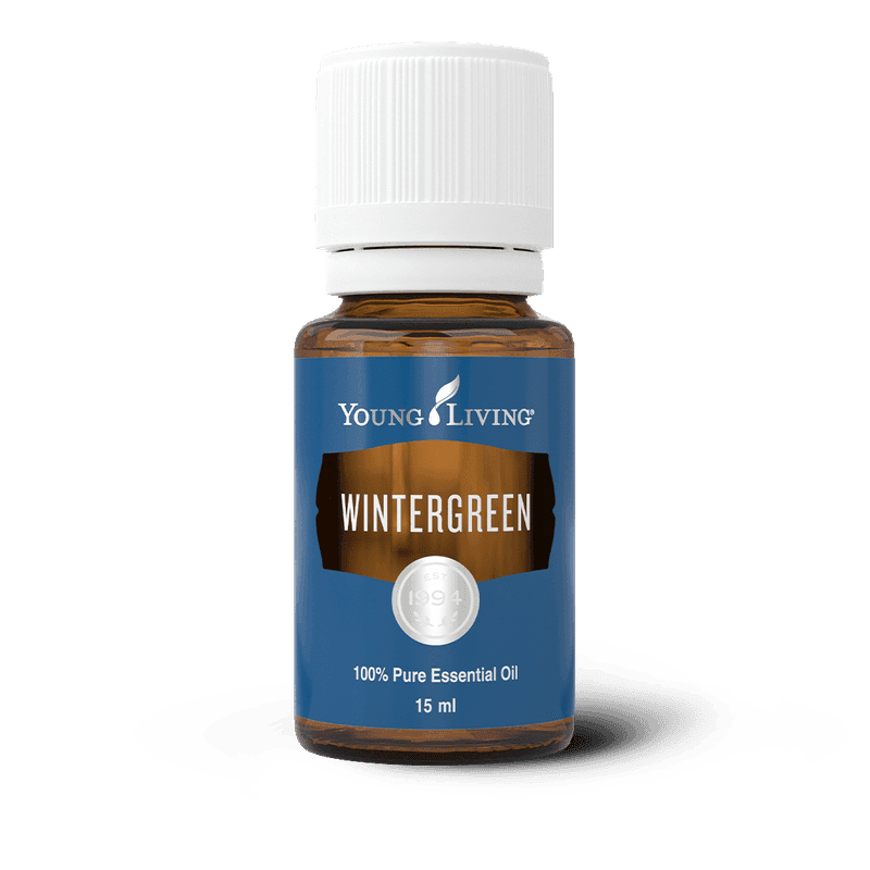 Wintergrün – ätherisches Öl von Young Living