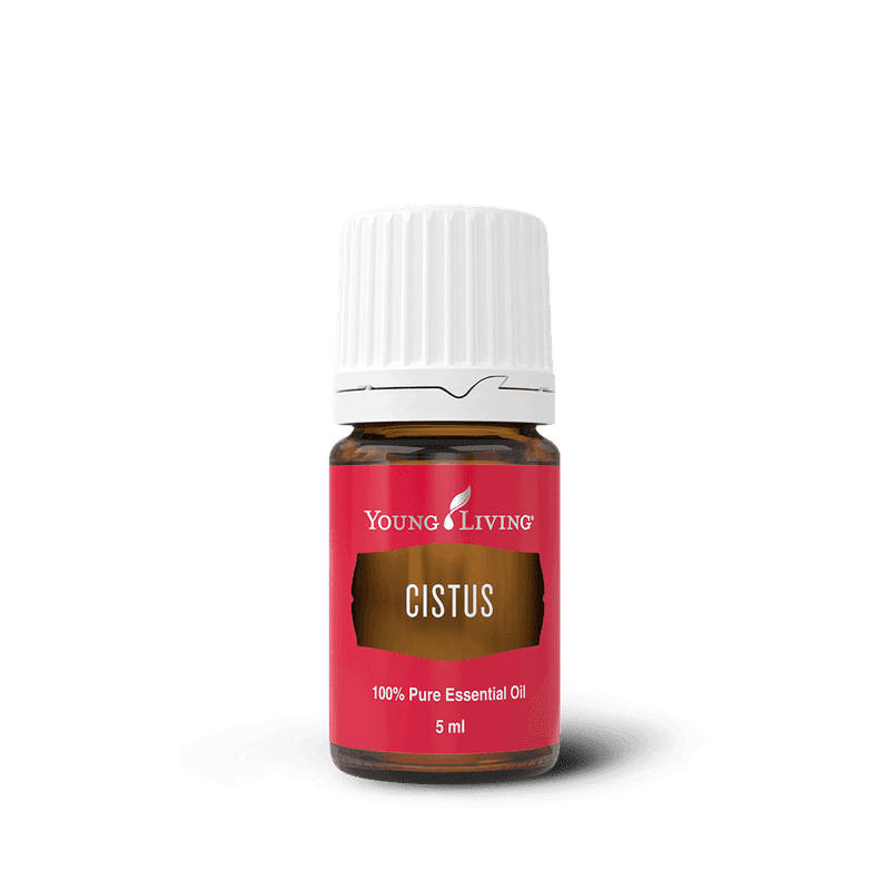 Zistrose – ätherisches Öl von Young Living