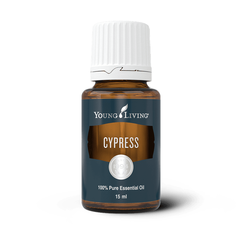 Zypresse – ätherisches Öl von Young Living