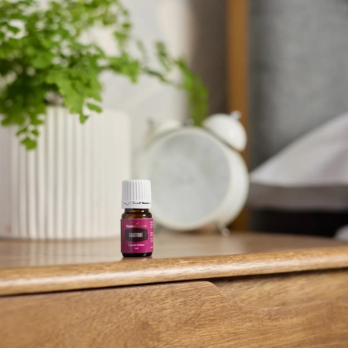Ein Fläschchen Young Living Gratitude 5 ml steht auf einem hölzernen Nachttisch, dahinter ein Farn im weißen Topf und ein weißer Wecker.