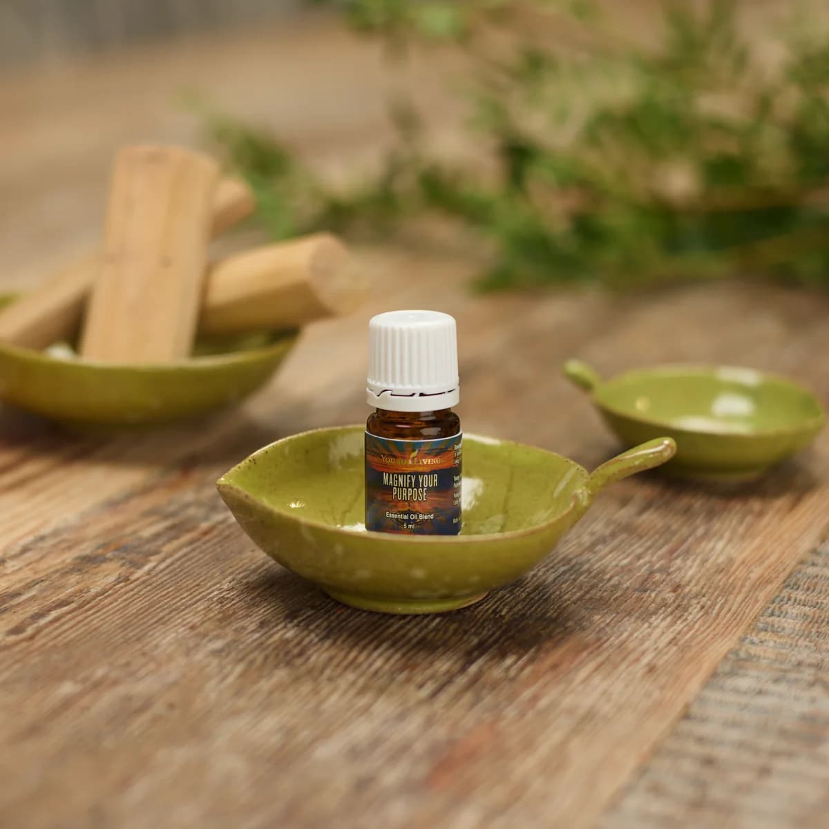 Ein Fläschchen Young Living Magnify Your Purpose 5 ml steht in einer grünen blattförmigen Keramikschale auf einem Holztisch, dahinter Holzstäbe.