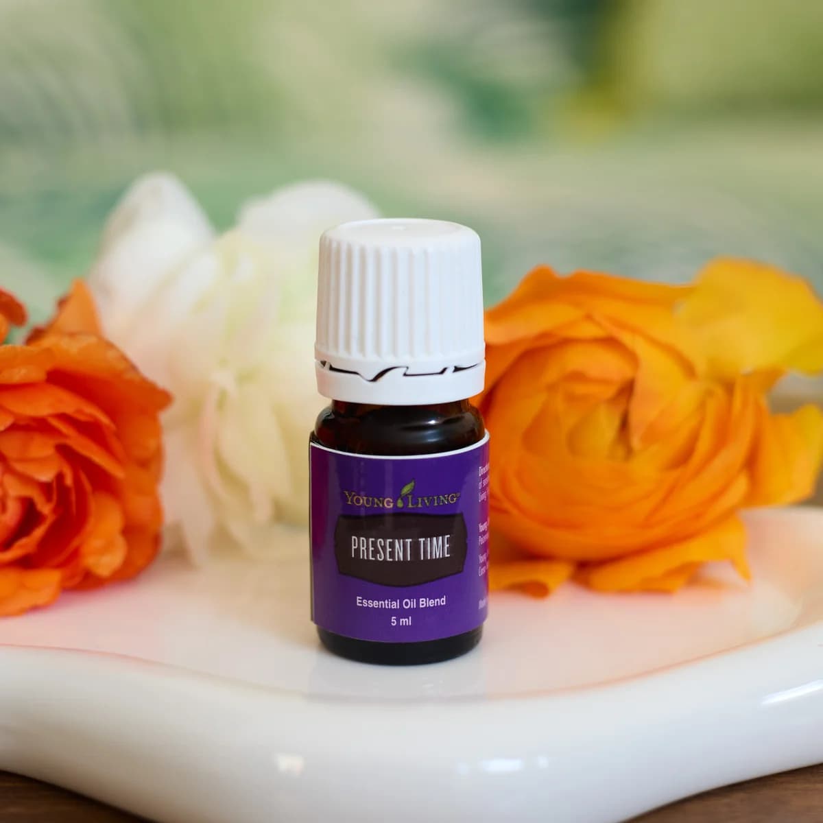 Ein Fläschchen Young Living Present Time 5 ml steht auf einer weißen Keramikschale zwischen orangefarbenen Ranunkeln und einer weißen Blüte.