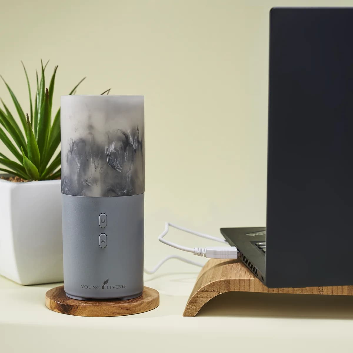 Der Young Living Viya Diffuser steht auf einem runden Holzuntersetzer neben einem Laptop auf Bambusständer und einer kleinen Aloe im weißen Topf.