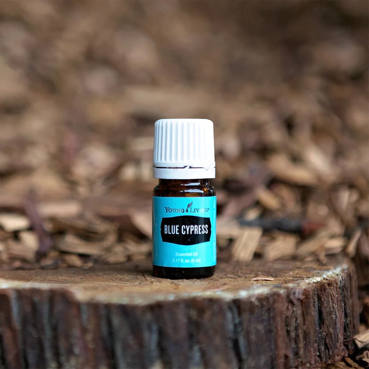 Ein Fläschchen Young Living Blue Cypress 5 ml steht auf einer Baumscheibe, im Hintergrund unscharf ein Boden aus Holzspänen.
