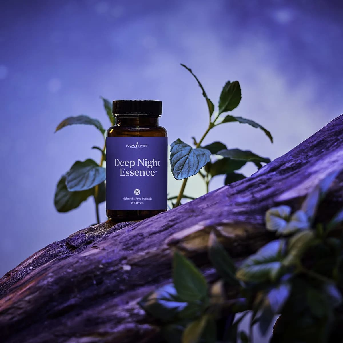 Ein braunes Glas Young Living Deep Night Essence steht auf einem Holzstamm zwischen grünen Blättern vor einem blauvioletten Nachthimmel.