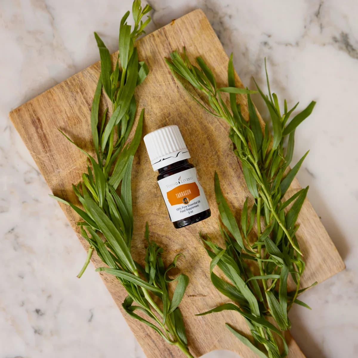 Ein Fläschchen Young Living Tarragon+ 5 ml liegt auf einem hellen Holzbrett zwischen frischen Estragonzweigen.