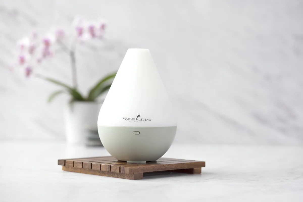 Wie funktioniert der Diffuser – und was solltest du wissen?