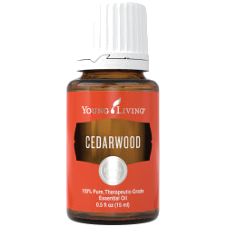 Zedernholz – ätherisches Öl von Young Living