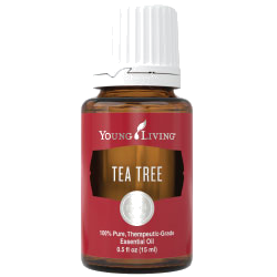 Teebaum – ätherisches Öl von Young Living