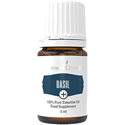 Basil+ – Young Living Plus ätherisches Öl