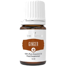 Ginger+ – Young Living Plus ätherisches Öl