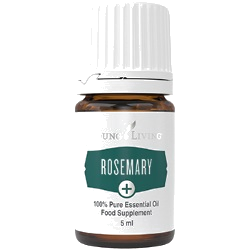 Rosmarin – ätherisches Öl von Young Living