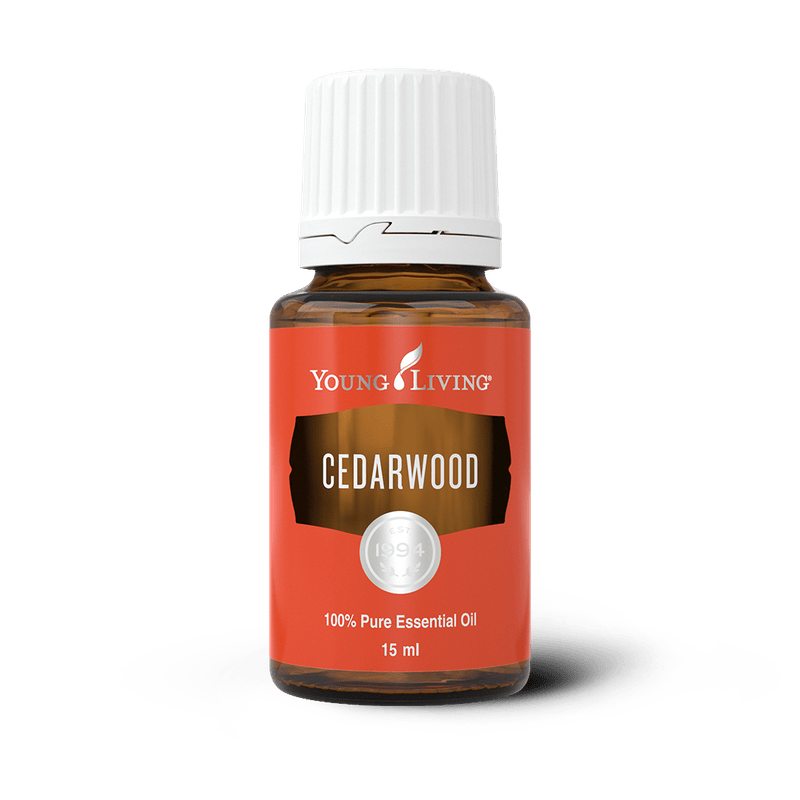 Young Living Zedernholz (Cedarwood), ätherisches Öl 15 ml