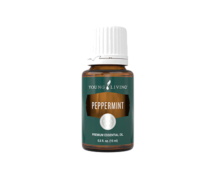 Pfefferminze – ätherisches Öl von Young Living